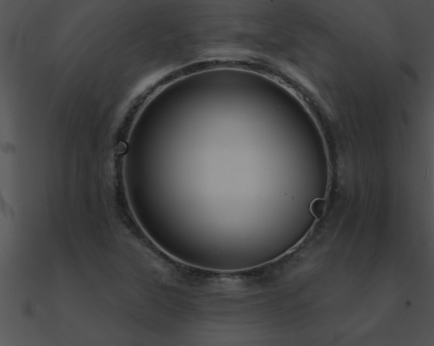 X0000090981315200708021450