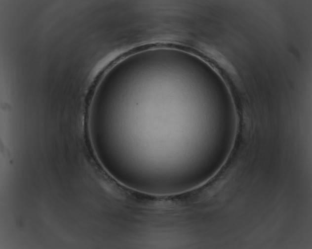 X0000090981316200708021450