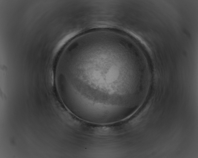 X0000090981317200708021450