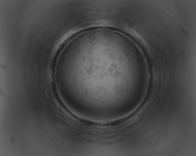 X0000090981318200708021450