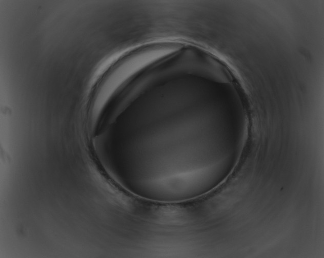 X0000090981319200708021450
