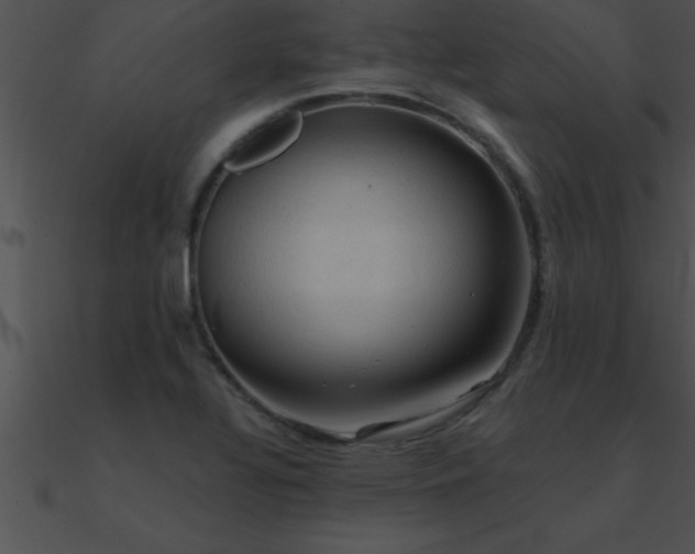 X0000090981320200708021450