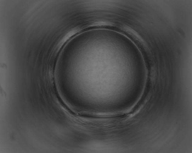 X0000090981321200708021450