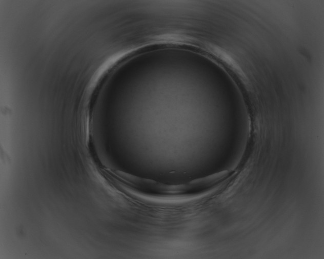 X0000090981323200708021450