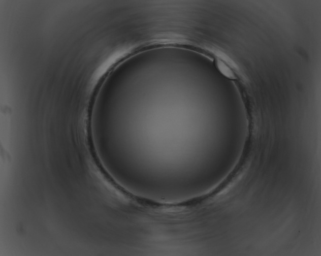 X0000090981325200708021450