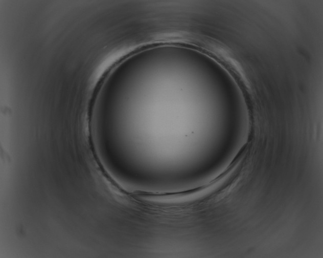 X0000090981328200708021450
