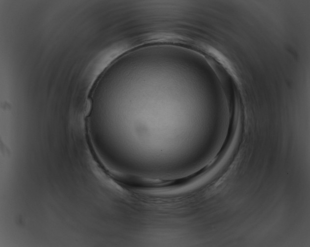X0000090981330200708021450