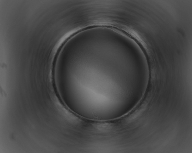 X0000090981331200708021450