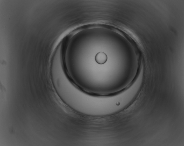 X0000090981332200708021450