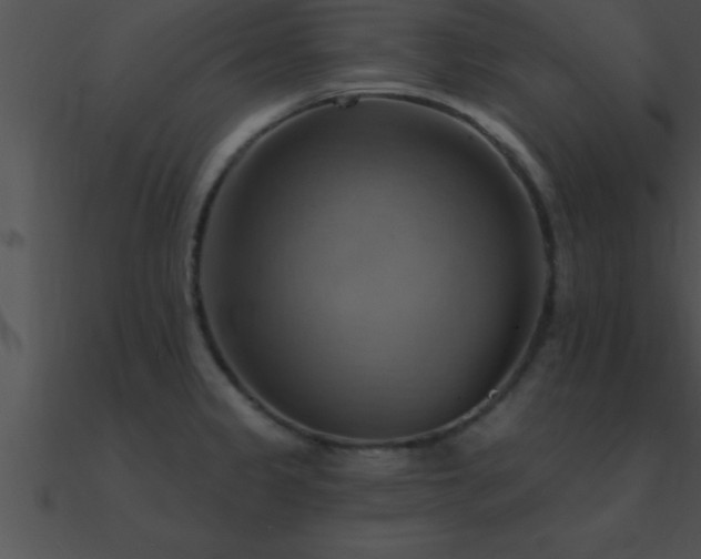 X0000090981333200708021450