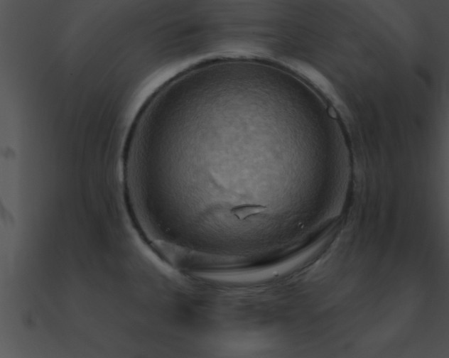 X0000090981335200708021450