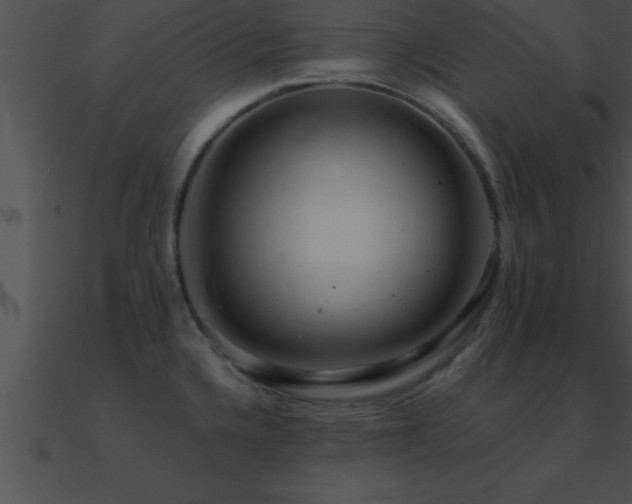X0000090981336200708021450