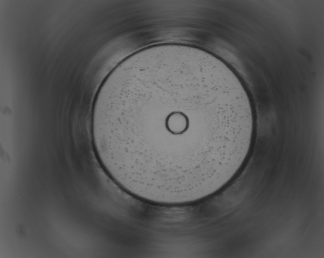 X0000090981338200708021450