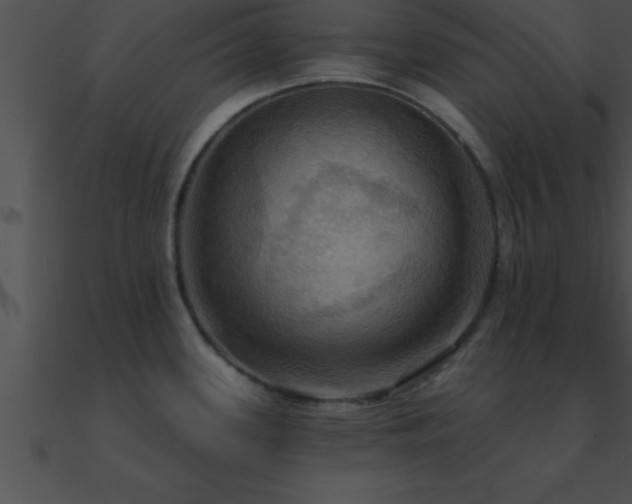 X0000090981339200708021450