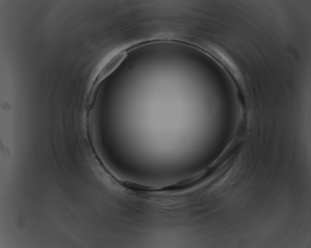 X0000090981340200708021450