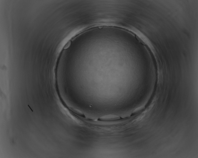 X0000090981341200708021450