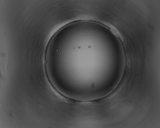 X0000090981343200708021450