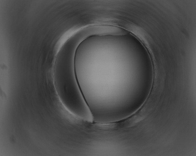 X0000090981344200708021450