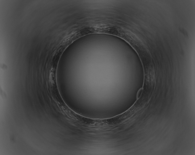 X0000090981346200708021450