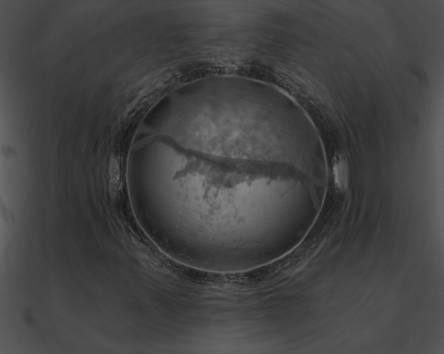 X0000090981347200708021450