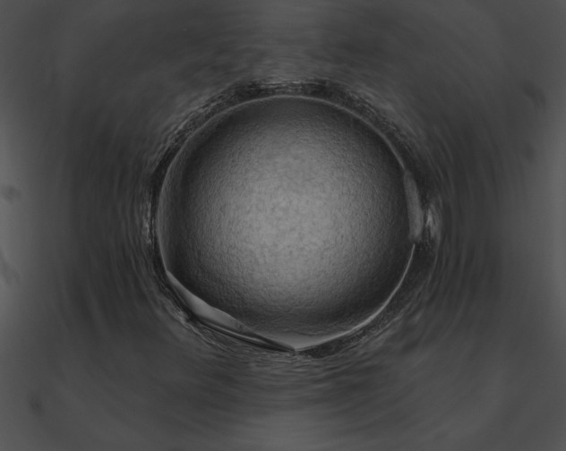 X0000090981348200708021450
