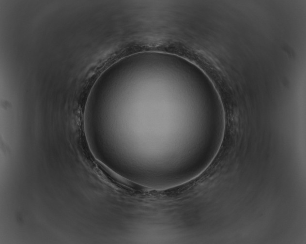 X0000090981349200708021450