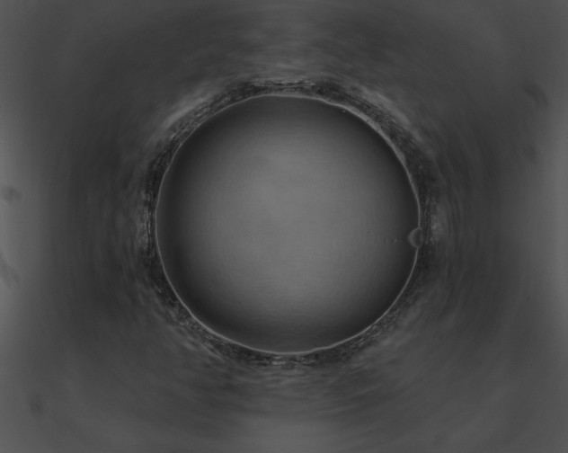 X0000090981350200708021450
