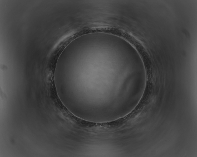 X0000090981351200708021450