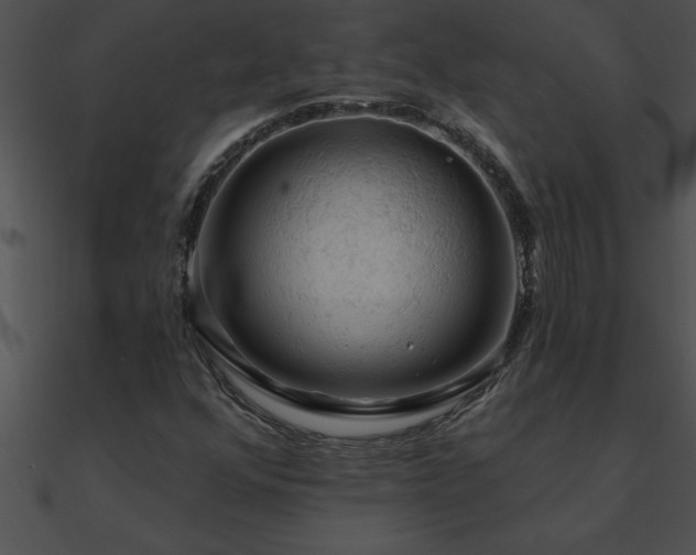 X0000090981352200708021450