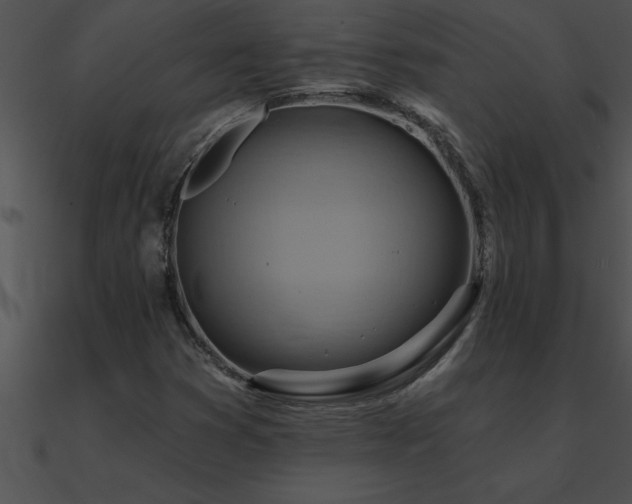X0000090981353200708021450
