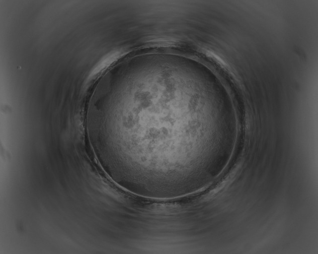 X0000090981354200708021450