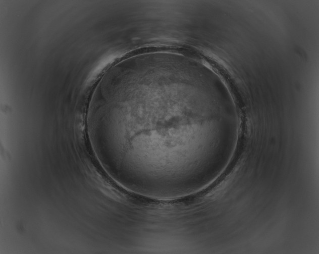 X0000090981355200708021450