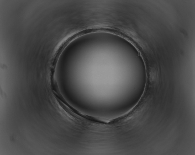 X0000090981356200708021450