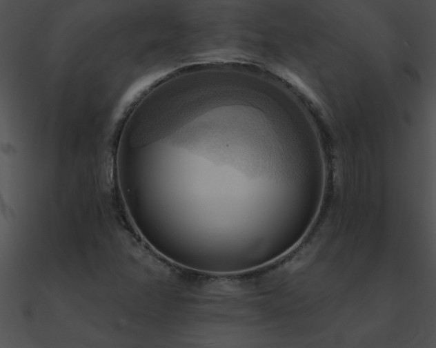 X0000090981358200708021450
