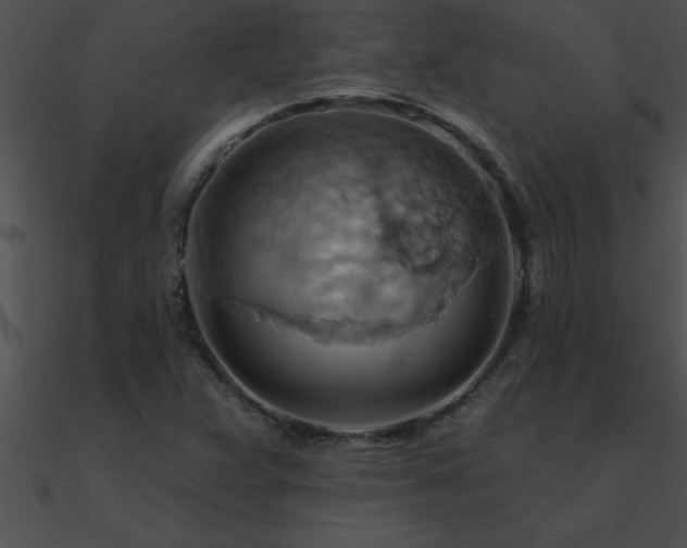 X0000090981359200708021450