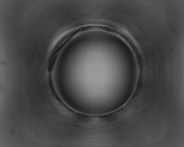 X0000090981360200708021450