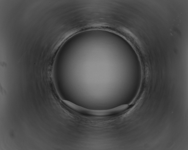 X0000090981361200708021450