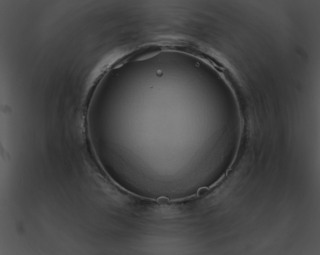 X0000090981362200708021450