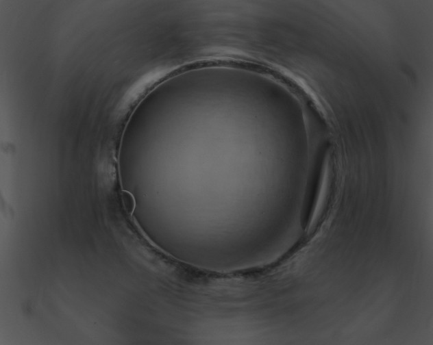 X0000090981363200708021450