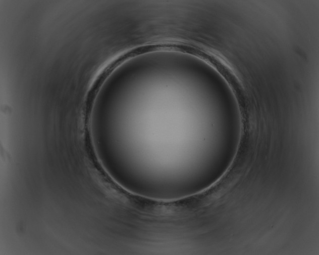 X0000090981364200708021450