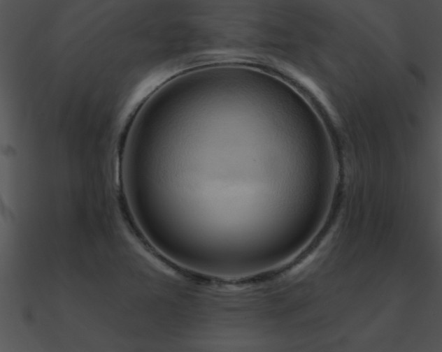 X0000090981365200708021450