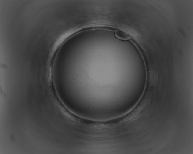 X0000090981366200708021450