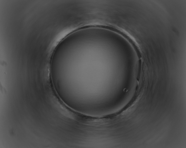 X0000090981367200708021450
