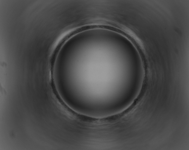 X0000090981368200708021450