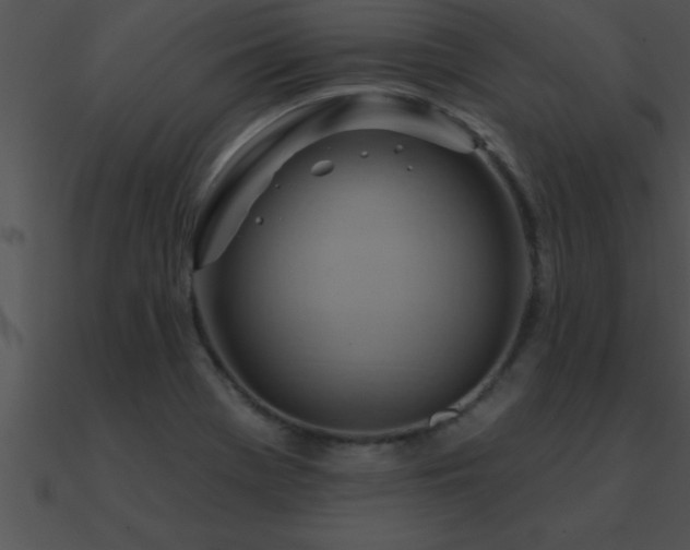 X0000090981369200708021449