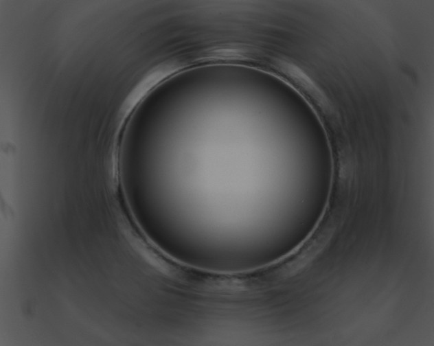 X0000090981370200708021449
