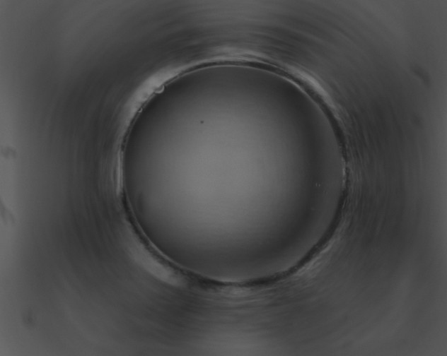 X0000090981371200708021449