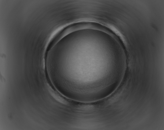 X0000090981372200708021449