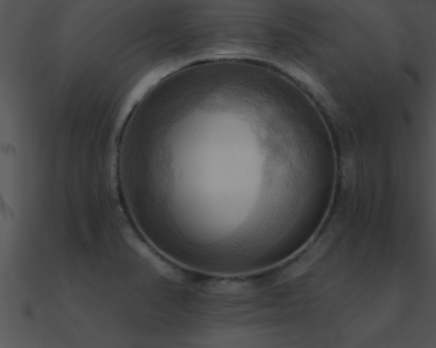 X0000090981374200708021449