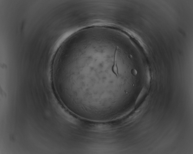 X0000090981375200708021449